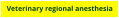 Veterinary regional anesthesia