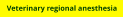 Veterinary regional anesthesia