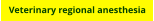 Veterinary regional anesthesia