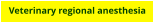Veterinary regional anesthesia