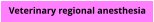 Veterinary regional anesthesia