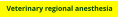 Veterinary regional anesthesia
