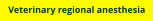 Veterinary regional anesthesia